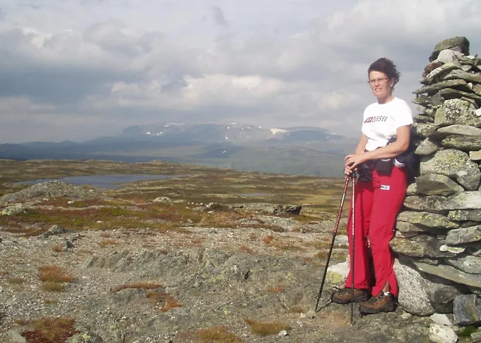 Hakkesetstolen Jaktstuga *