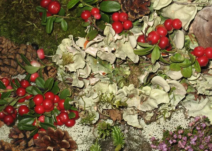 Hakkesetstolen * Geilo