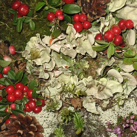 Hakkesetstolen * Geilo